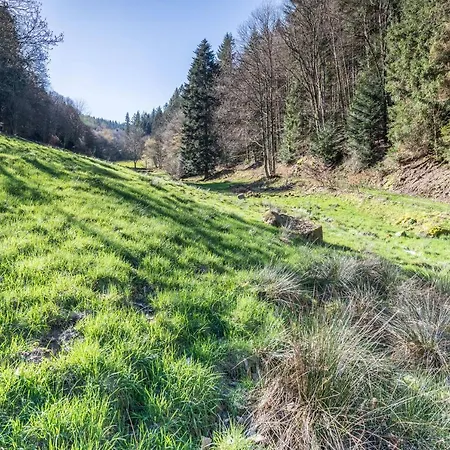 Apartamento Ferienwohnung Gernsbach *