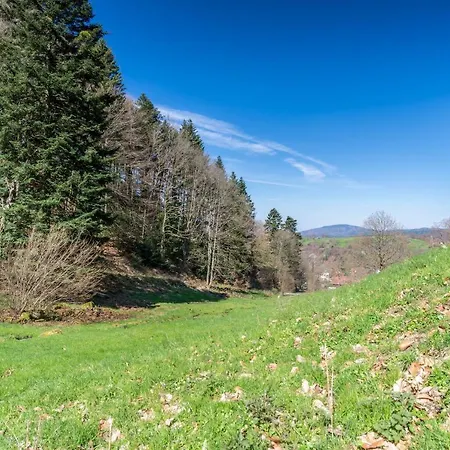 Apartamento Ferienwohnung Gernsbach